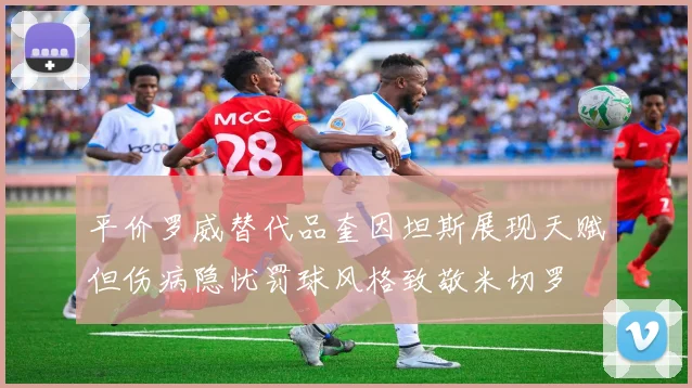 平价罗威替代品奎因坦斯展现天赋但伤病隐忧罚球风格致敬米切罗