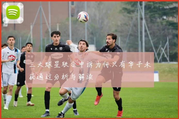 三大球星联合申诉为何只有华子未获通过分析与解读