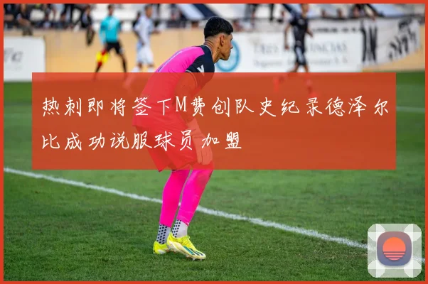 热刺即将签下M费创队史纪录德泽尔比成功说服球员加盟
