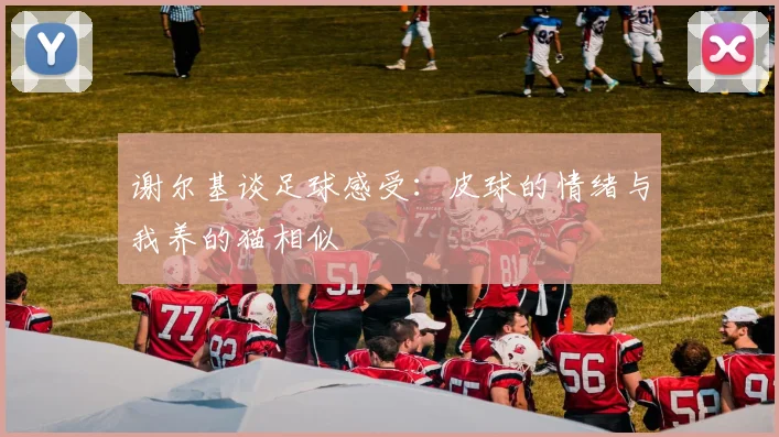 谢尔基谈足球感受：皮球的情绪与我养的猫相似